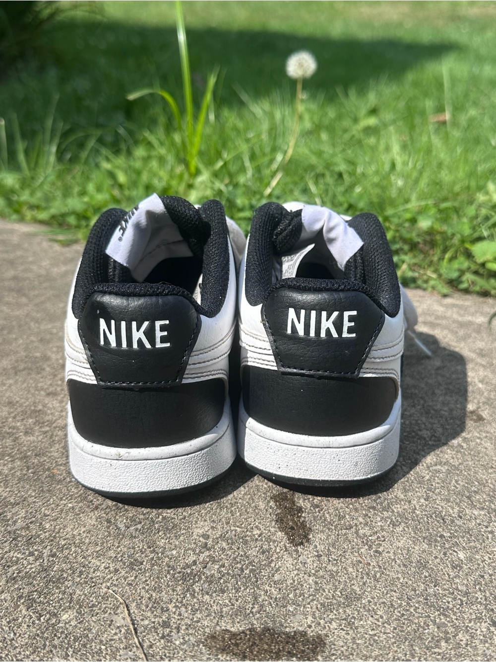 Nike Low-Top Court Vision Sneakers - Black/White - Picture 6 of 6